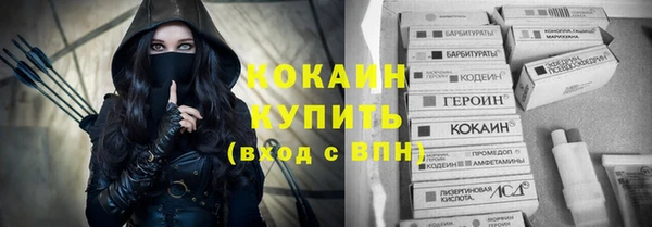 прущие грибы Володарск