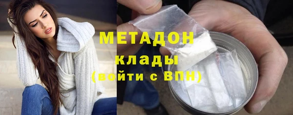 прущие грибы Володарск