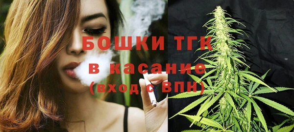прущие грибы Володарск