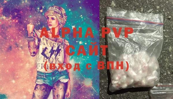 дживик Корсаков