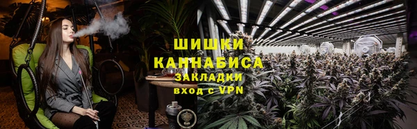 прущие грибы Володарск
