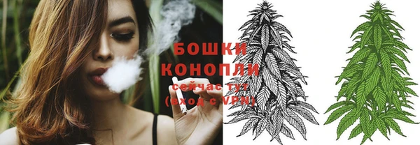 прущие грибы Володарск