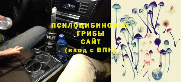 шишки Волоколамск