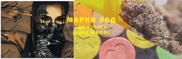 прущие грибы Володарск