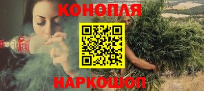 мдпв Камень-на-Оби