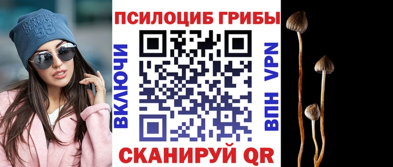 Галлюциногенные грибы MAGIC MUSHROOMS  сколько стоит  darknet телеграм  Назарово  кракен рабочий сайт 