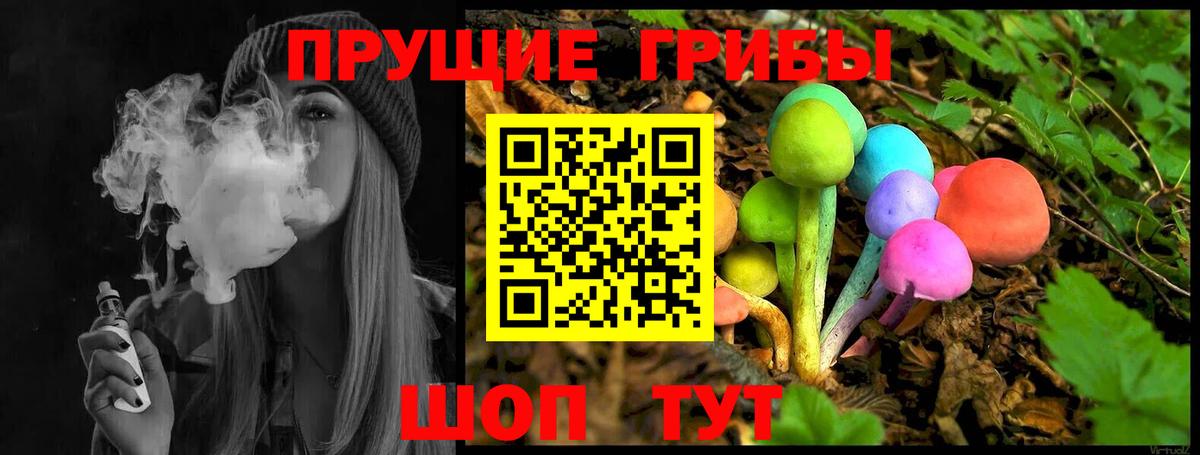 Псилоцибиновые грибы Psilocybine cubensis Назарово